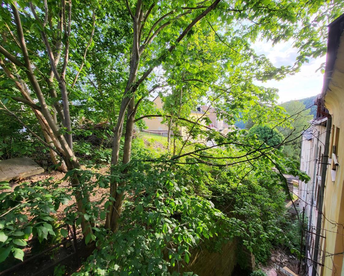 Excellent Apartments In Spa City Center 5 Min Walk From The Colonnade Karlovy Vary Dış mekan fotoğraf