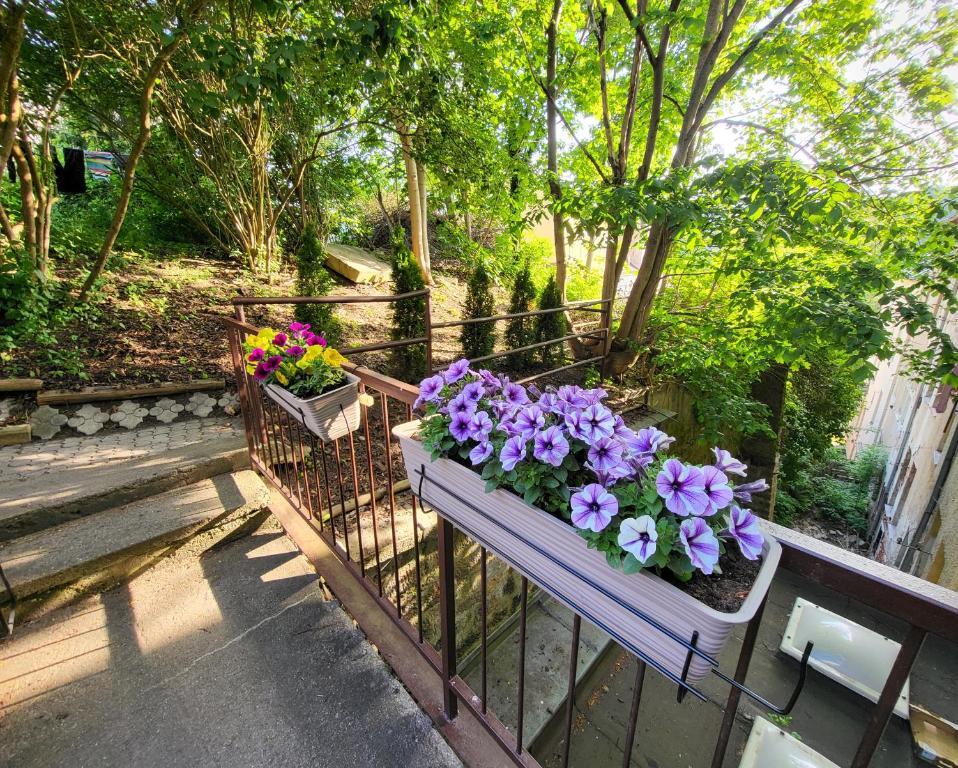 Excellent Apartments In Spa City Center 5 Min Walk From The Colonnade Karlovy Vary Dış mekan fotoğraf